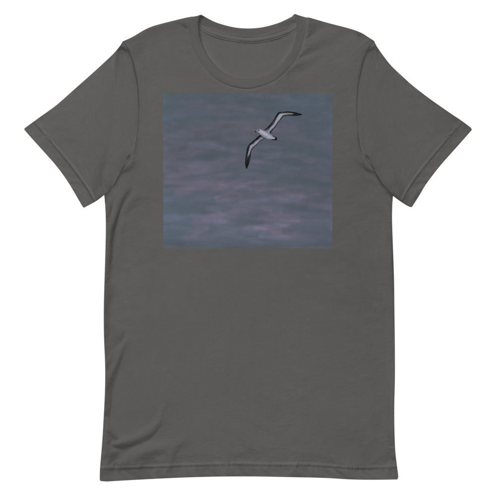 Bird's Poet 8:00 PM T Shirt