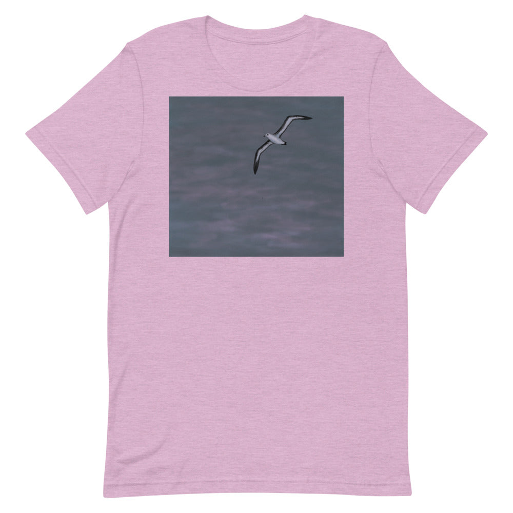 Bird's Poet 8:00 PM T Shirt